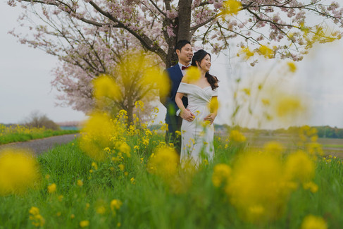 Pre-wedding couple standing together under cherry blossom trees, framed by soft yellow flowers in a calm countryside location near Tokyo.