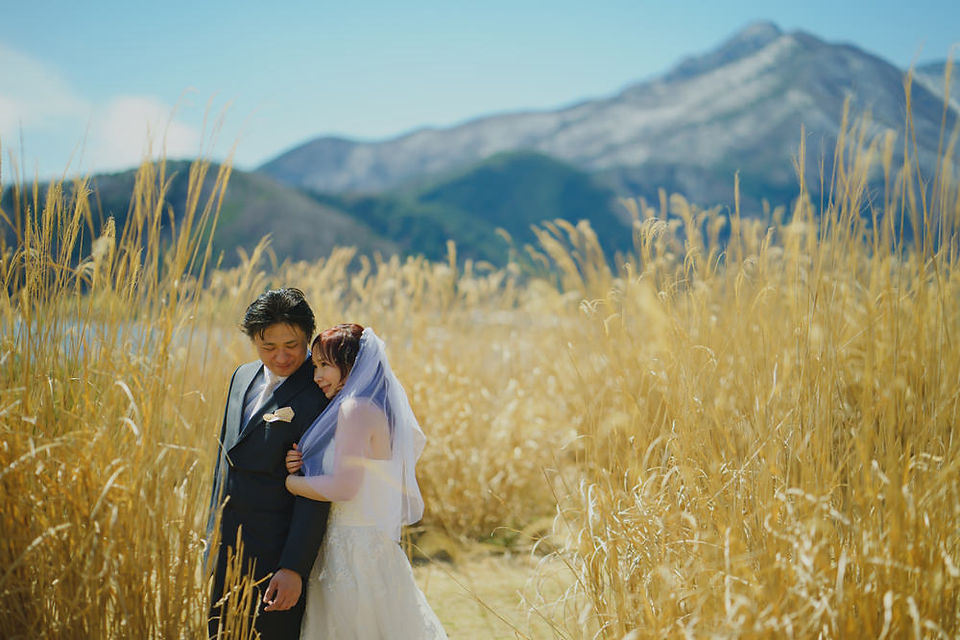 Wedding photography in Kawaguchiko during cherry blossom season