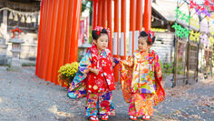 相模原氷川神社 - 双子で日本髪を結っての七五三詣り