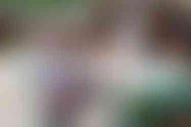 立川 諏訪神社でのお宮参り撮影|祖父母が赤ちゃんをスマホで撮影する微笑ましいシーン