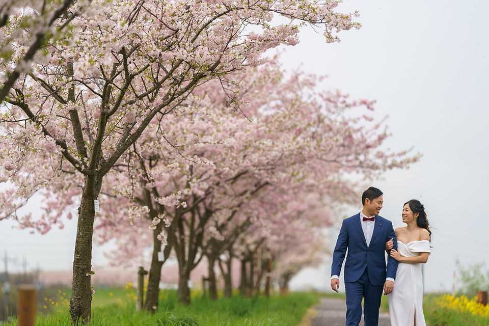 Pre-wedding couple walking together along an empty cherry blossom road, capturing intimate moments far from Tokyo’s busy sakura spots.