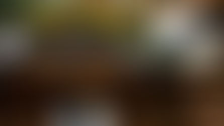 紅葉の修善寺で結婚式撮影｜350年の歴史を持つあさば旅館にて