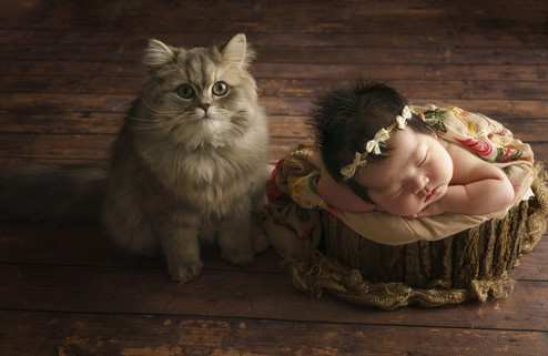 猫ちゃんと一緒に撮るニューボンフォト