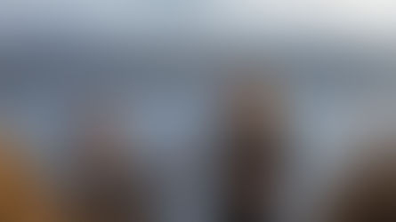 富士山と紅葉に囲まれて──河口湖でプロポーズ撮影