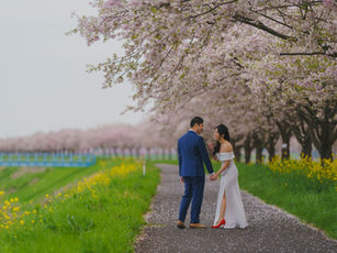 Cherry Blossom Pre-Wedding Photos in Japan: Finding Quiet Beyond Tokyo