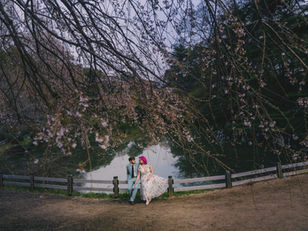Cherry Blossom Wedding Photos in Tokyo – Clara & Williams’ Honeymoon Story