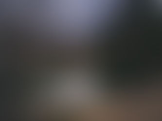 Cherry Blossom Wedding Photos in Tokyo – Clara & Williams’ Honeymoon Story