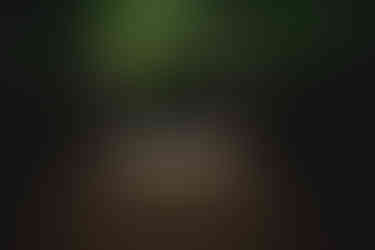 Artistic engagement shot of a couple standing apart on a wooden bridge surrounded by trees, captured in Tokyo’s Inokashira Park.