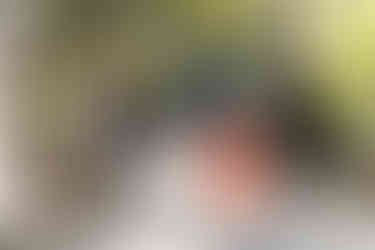 赤坂氷川神社の参道を歩く七五三参拝の家族