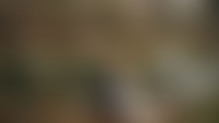 吉祥寺・井の頭公園で自然なロケーションフォト|冬の静かな公園で残す前撮り撮影