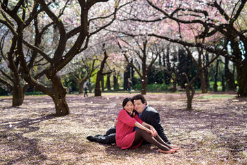engagement photo under full-bloomed cherry blossoms in Tokyo