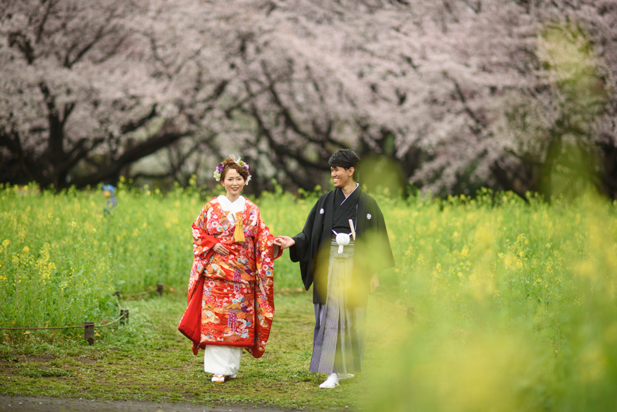 昭和記念公園の広い桜並木と菜の花畑を歩く和装姿の新郎新婦、自然に囲まれた前撮りシーン