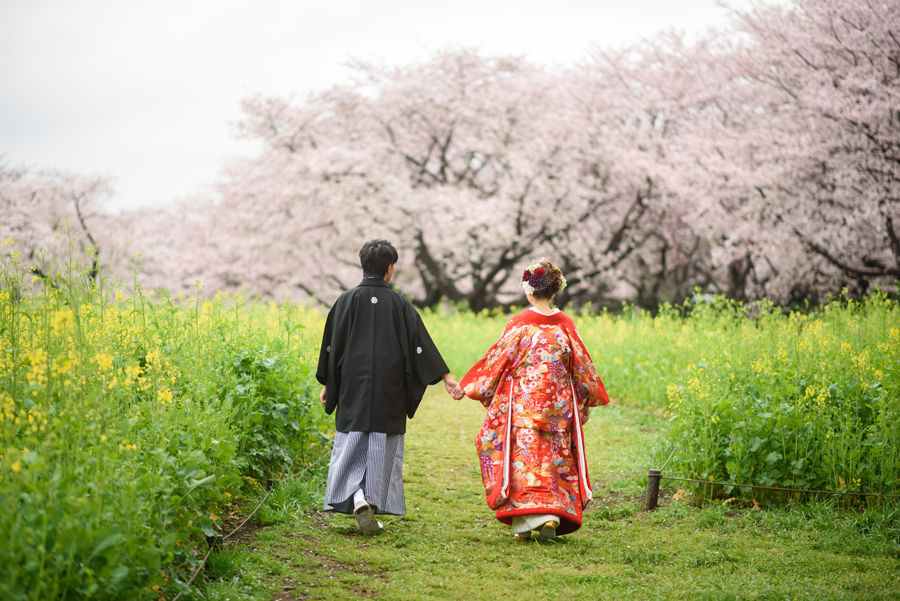 Couple in traditional kimono walking hand in hand through a path surrounded by cherry blossoms and yellow canola flowers at Showa Kinen Park.