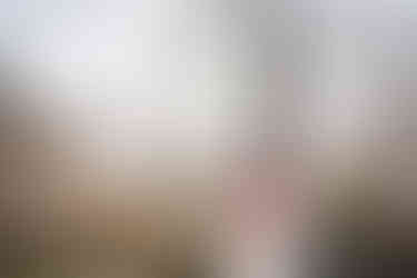 Couple standing beneath white sakura blossoms in Tokyo, spring wedding portrait photography in a Japanese garden