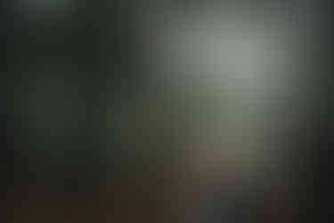 冬の公園の木立の中で寄り添う新郎新婦の自然なポートレート・吉祥寺ロケーションフォト撮影