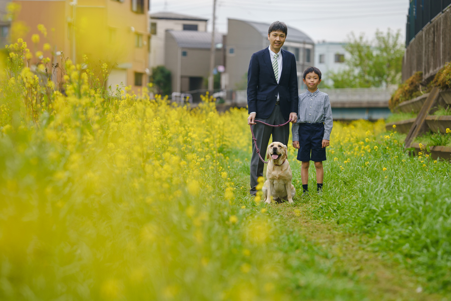 菜の花畑の中を歩く父と次男、愛犬との春の家族ポートレート
