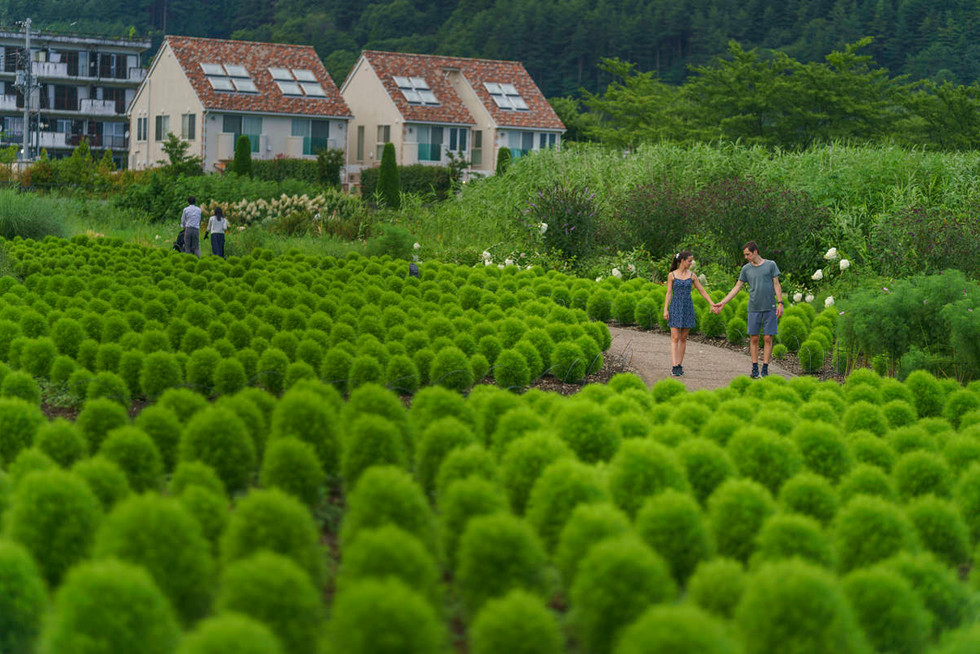 Engagement photo session in Kawaguchiko, the most popular destination for the views of Mt. Fuji