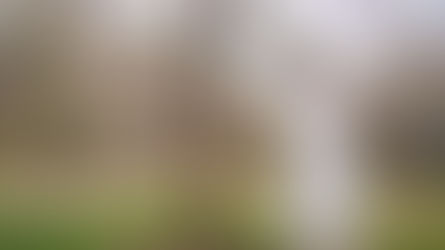 地毛結い日本髪で残す、桜咲く井の頭公園の和装ロケーションフォト