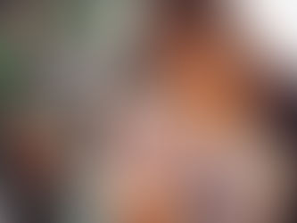 Animais de Estimação: 10 Dicas Para Manter a Casa Sempre Limpa