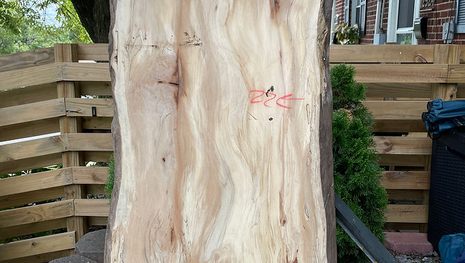 Sycamore Slabs