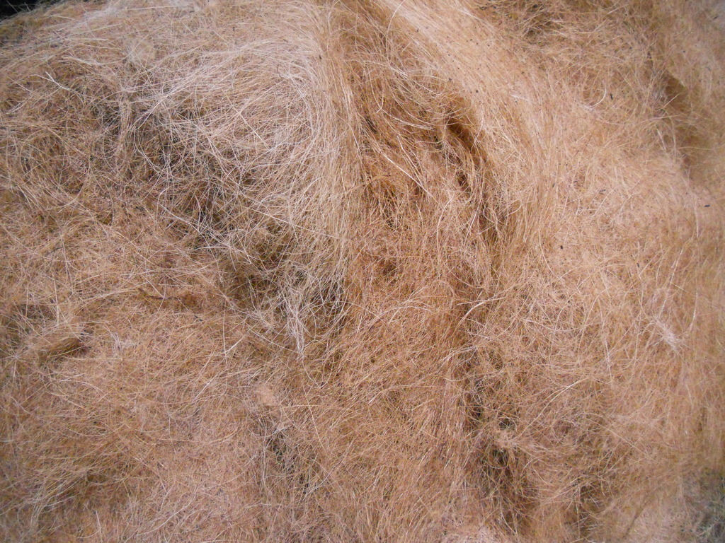 Kokosvezels