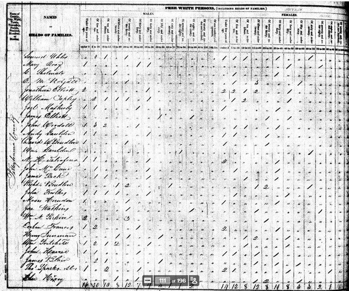 At the center of this cluster is James Elliott, whose household appears directly among several Gaulding households, including Andy Gaulden and William T. Gauldin. The placement of these families in consecutive census entries indicates that they lived within walking distance of one another, likely along the same road or adjoining parcels. The presence of Jonathan Elliott nearby reinforces the idea that the Elliotts formed a small family group within a larger neighborhood of interconnected households.