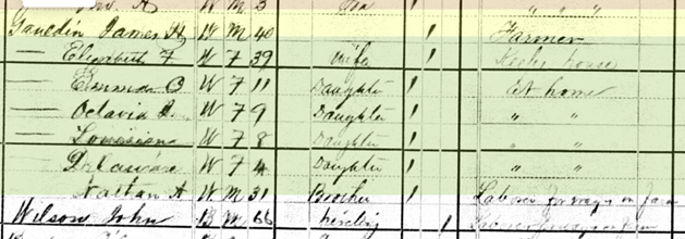 1880 United States Federal Census (2)