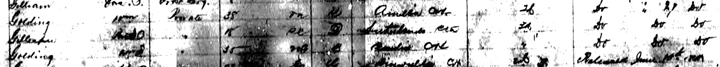 U.S., Civil War Prisoner of War Records, 1861-1865; Confederate, Maryland: Point Lookout, Military Prison, v. 356: Prisoner registers, 1863-1865 (2)