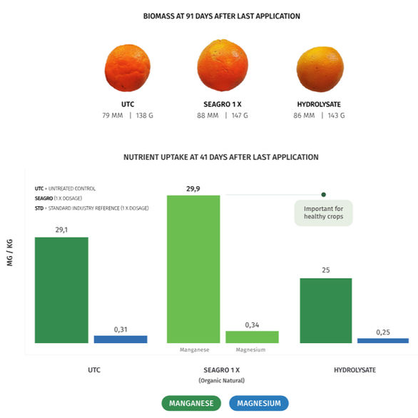 SEAGRO Citrus fruit Data