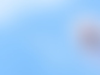 RMS Bursary and Lifelong Learning for Seniors