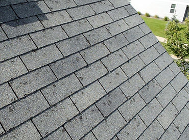 Hail Shingles