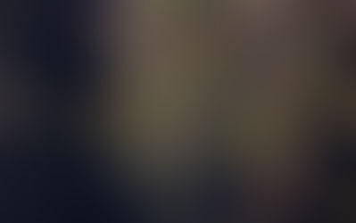 SOLERBE FLORA, PROGRAMMA DIDATTICO 2025