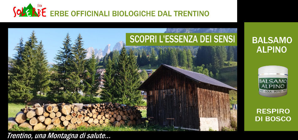 artigiano in fiera 2026 380 x 170 con bosco e fiume campitello_edited_edited.jpg