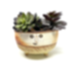 face pot