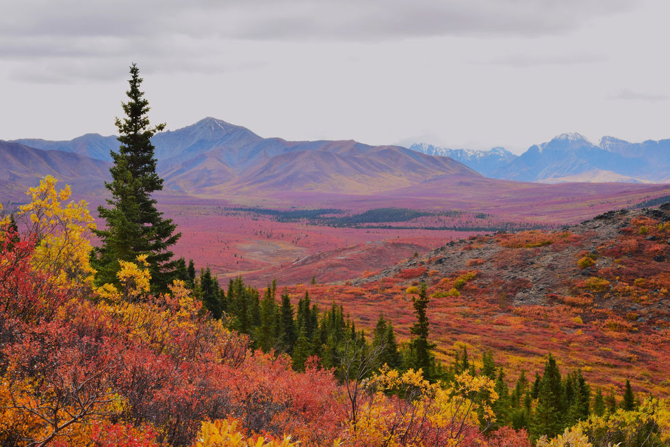 Alaska 37
