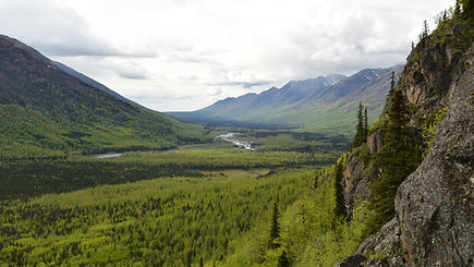 0236 - e.1.c.ps.JPG