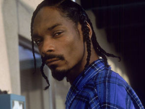 Successful brand transitions: Snoop's journey from rap legend to entertainment icon