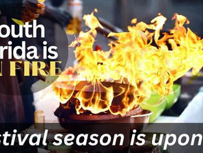 South Florida Winter Festivals ready to go!