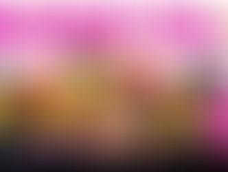 Why we love the Minions