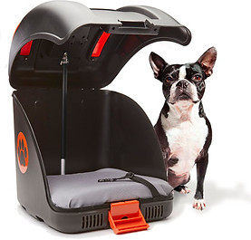 Pet on Wheels (POW) carrier interior