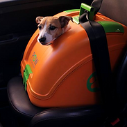 Pet on Wheels (POW) carrier in car / vehicle