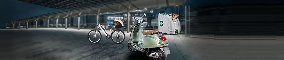 bot%252520frame%252520scoot-bike%252520l