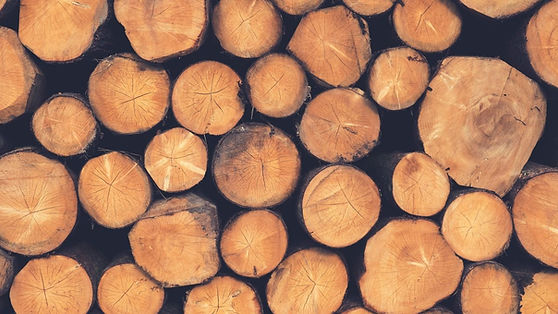wood.jpeg
