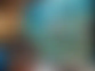 Zeeaquarium Opstartgids