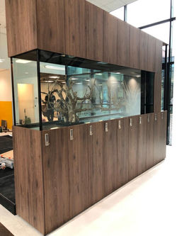 MicrosoftTeams-image (18)