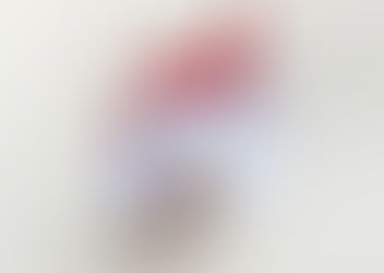 ROOSTER / ZODIAC SIGN 2017