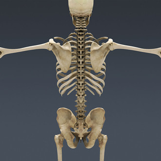 Core Training- You're Doing it Wrong