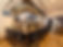 S__3670115.jpg