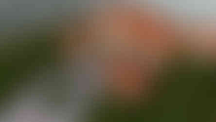 render_4 - Photo.jpg