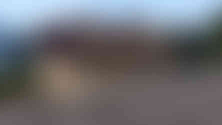 Convenient Store (1).jpg